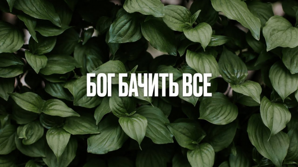Бог бачить все